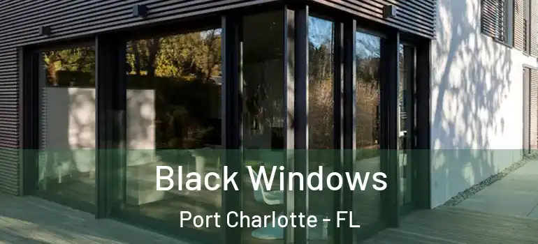 Black Windows Port Charlotte - FL