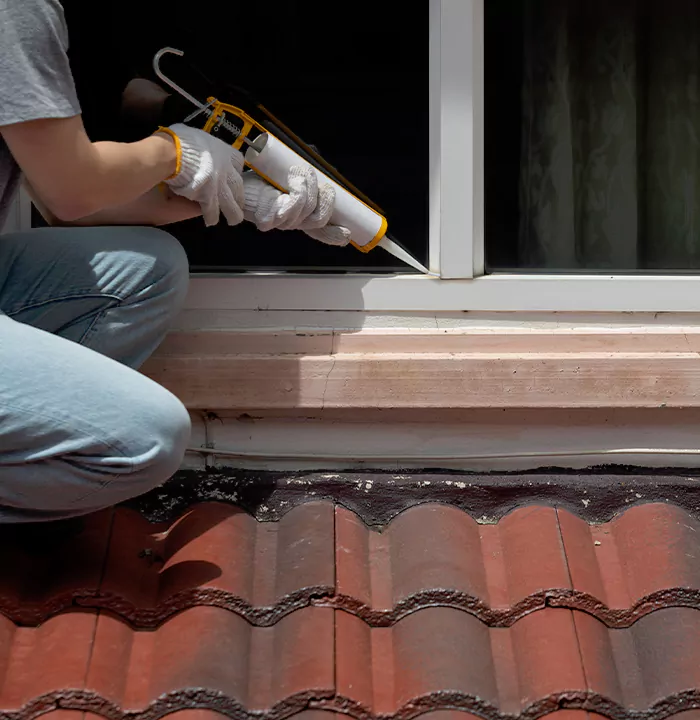 Roof Window Services in Port Charlotte, Florida