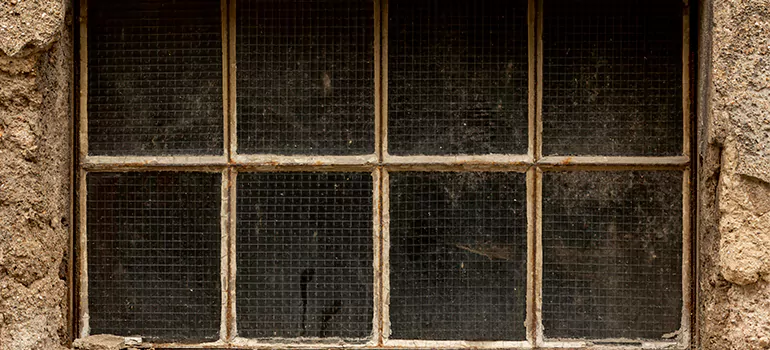 Traditional Double Front Doors in Port Charlotte, FL