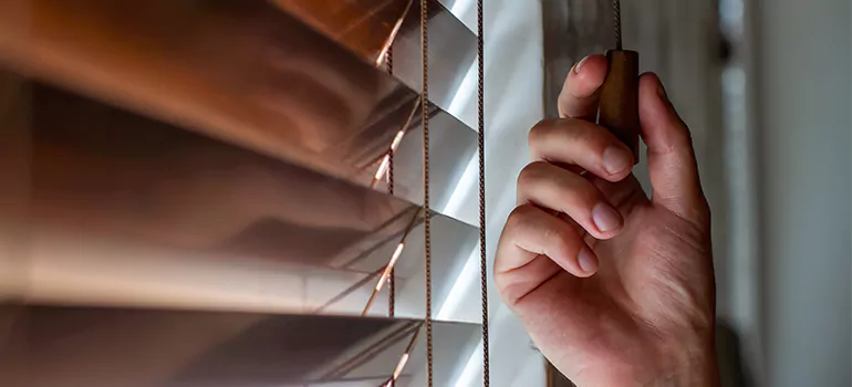 Double Roller Blinds in Port Charlotte, FL