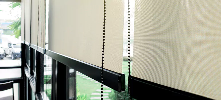 Blackout Window Shades in Port Charlotte, FL