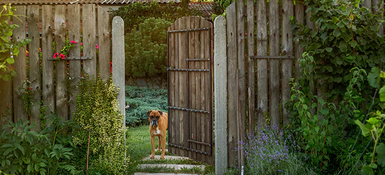 Winter Garden Garage Door Repair in Port Charlotte,[location field=state]