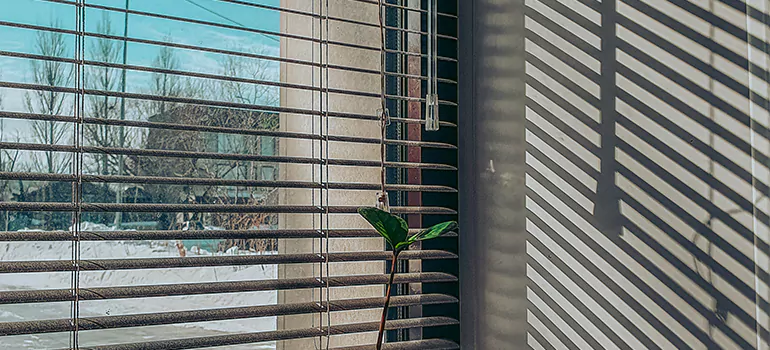 Commercial Window Blinds in Port Charlotte, FL