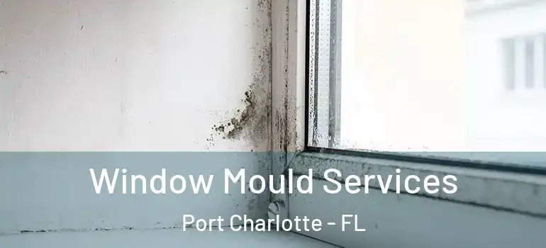 Window Mould Services Port Charlotte - FL